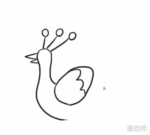孔雀的简笔画教程  如何画一只孔雀