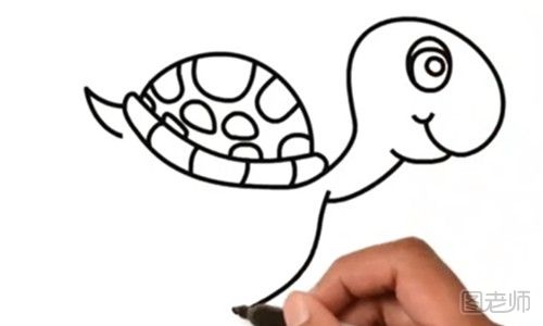 小海龟简笔画视频教程 怎么画可爱的小海龟