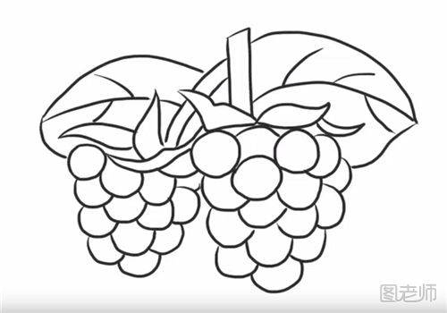 葡萄的简笔画教程 怎么画一串葡萄