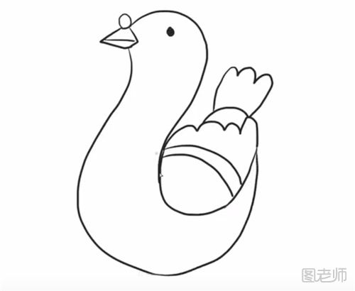 鸽子的简笔画教程 怎么画一只鸽子