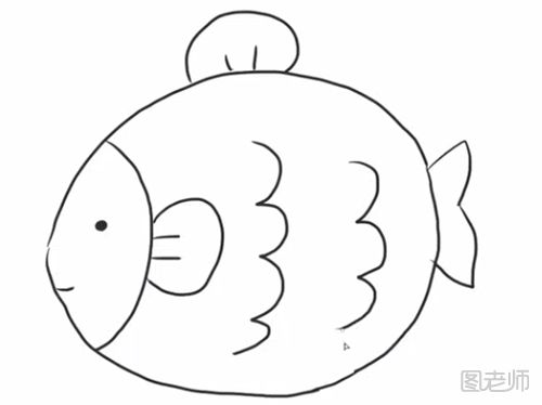 圆圆的热带鱼简笔画步骤教程