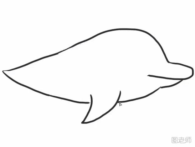 海豚简笔画教程