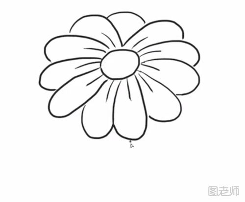 野菊花的简笔画教程  怎么画一朵野菊花