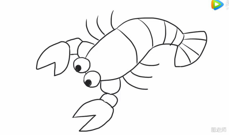 小龙虾的简笔画教程 怎么画一只小龙虾