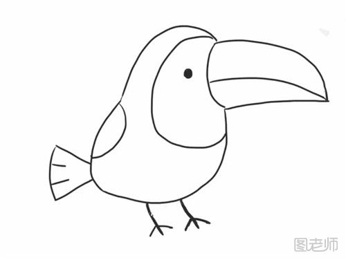 啄木鸟的简笔画教程  怎么画一只啄木鸟