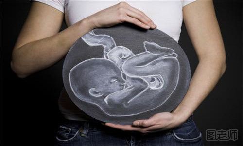 什么是胎儿停育