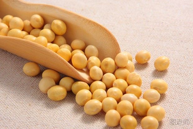 孕妇能吃黄豆吗