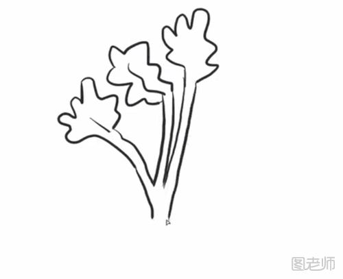 香菜的简笔画教程 怎么画香菜