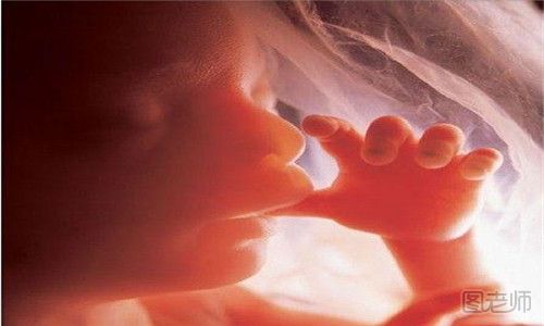 胎儿停育怎么办