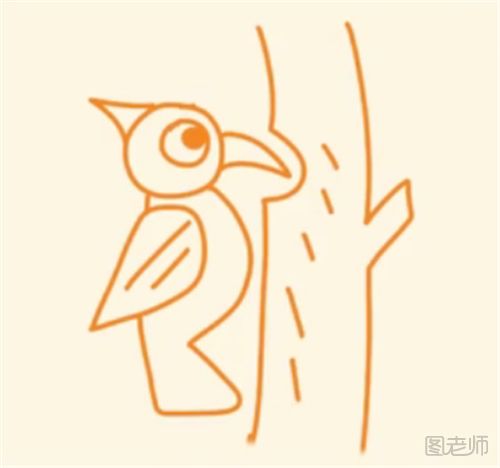 啄木鸟的简笔画教程  怎么画一只啄木鸟