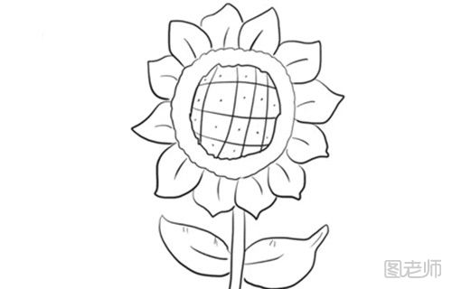 向日葵的简笔画视频教程 怎么画向日葵的简笔画