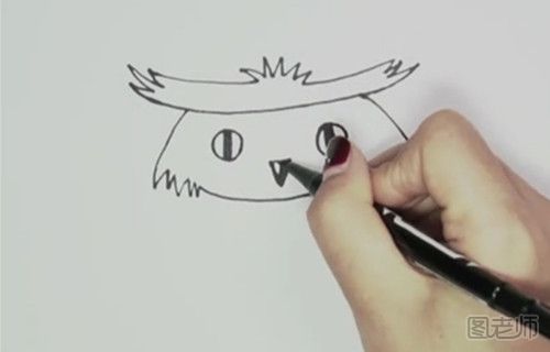 猫头鹰的简笔画视频教程 怎么画猫头鹰的简笔画