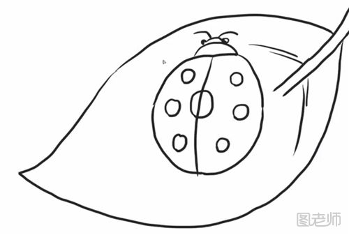 七星瓢虫的简笔画教程  怎么画一只七星瓢虫