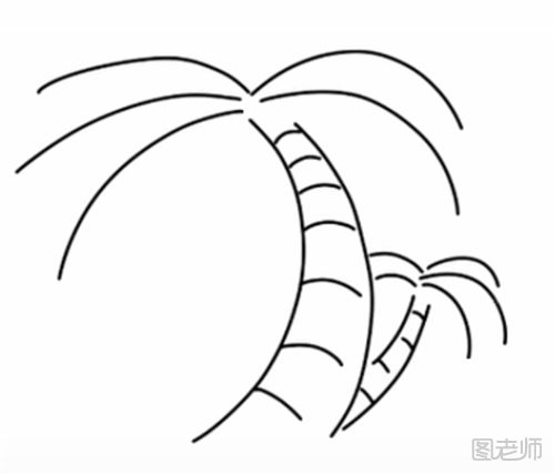 一颗椰子树的简笔画教程  怎么画一棵椰子树