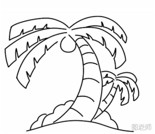 一颗椰子树的简笔画教程  怎么画一棵椰子树