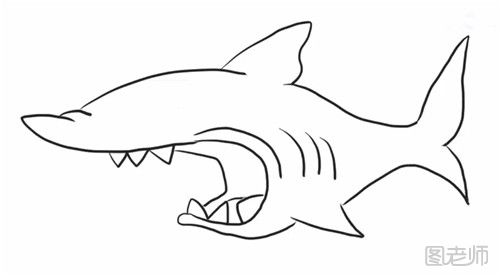 凶恶鲨鱼的简笔画教程  怎么画一只凶恶的鲨鱼