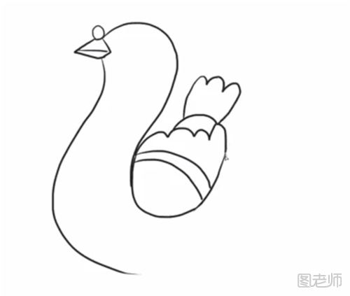 和平鸽的简笔画教程  怎么画一只和平鸽