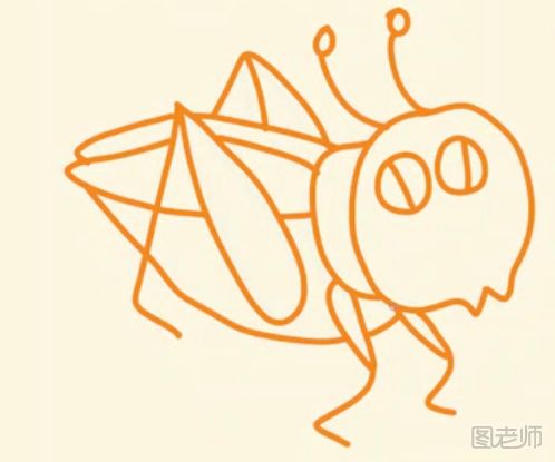  可爱的蟋蟀简笔画怎么画
