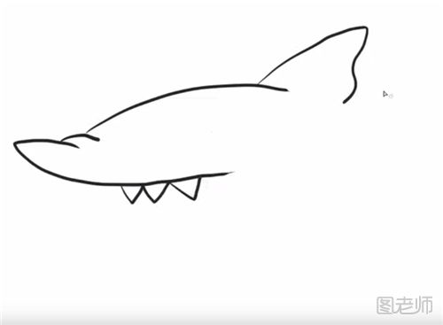 凶恶鲨鱼的简笔画教程  怎么画一只凶恶的鲨鱼