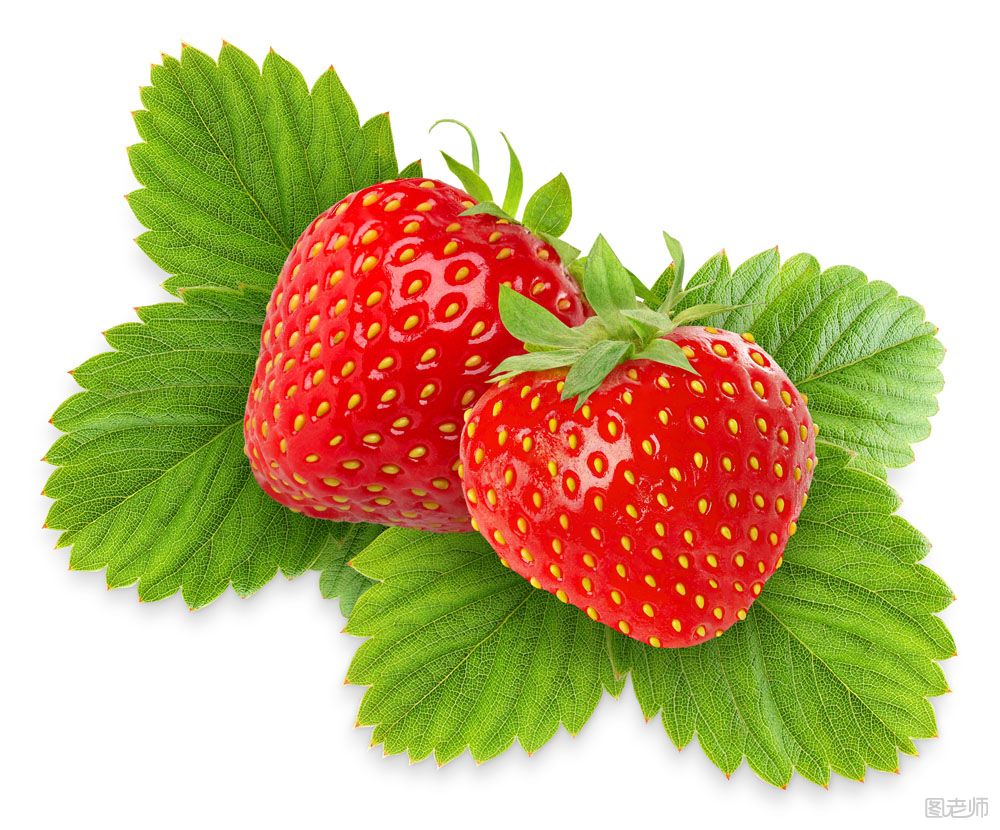草莓的品种有哪些