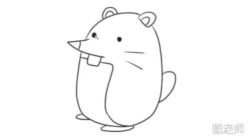 可爱的鼹鼠简笔画教程 鼹鼠怎么画