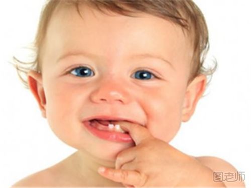 关于宝宝的牙齿