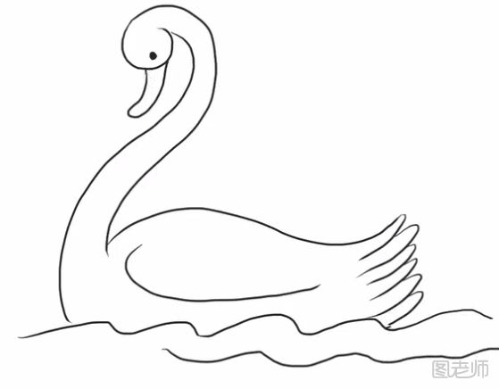 白天鹅简笔画教程 在水中游的白天鹅怎么画
