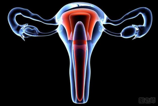 女生怎么保护卵巢 卵巢的功能是什么