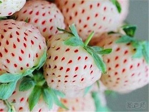 吃菠萝莓有哪些好处