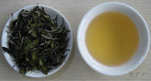白茶有什么功效 白茶是什么茶
