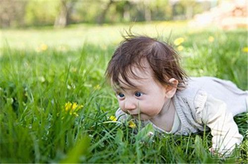 如何预防宝宝花粉过敏