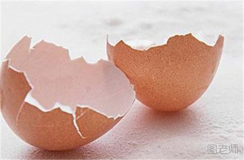 鸡蛋壳是如何形成的
