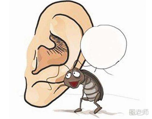 虫子入耳怎么办