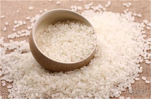 粳米和普通的大米有什么区别
