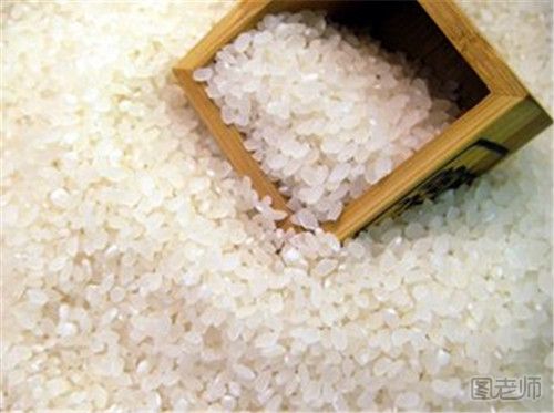 粳米含有哪些营养成分