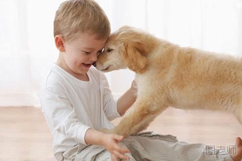 如何让孩子与宠物安全相处 宠物与孩子安全相处的方法