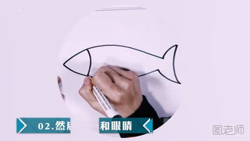 如何画一条淡水鱼 淡水鱼的简笔画怎么画
