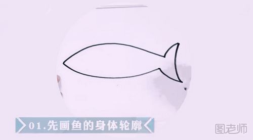 如何画一条淡水鱼 淡水鱼的简笔画怎么画