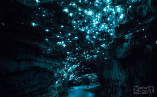 新西兰有哪些萤火虫洞 怎么去萤火虫洞