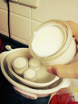 电炖锅怎么做酸奶