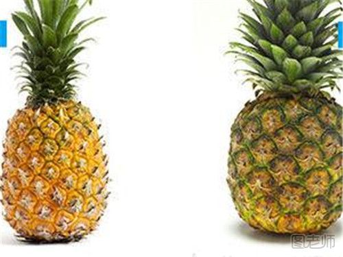 菠萝和凤梨是一样的吗