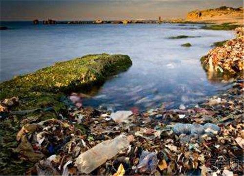 海洋污染物有哪些分类