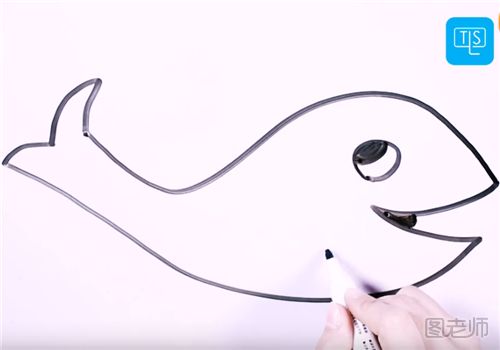 怎么画一条淡水鱼的简笔画 淡水鱼的简笔画图解步骤