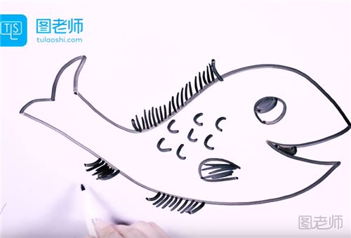 怎么画一条淡水鱼的简笔画 淡水鱼的简笔画图解步骤
