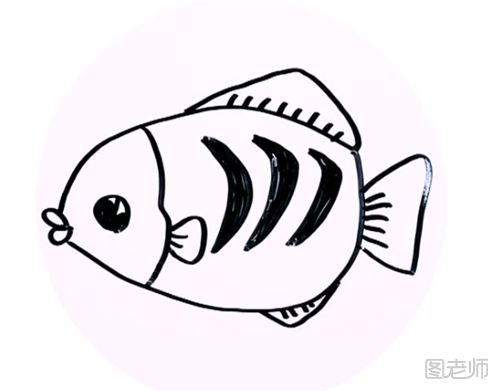 怎么画一条花斑鱼 花斑鱼的简笔画图解步骤
