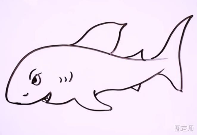 怎么画一只凶狠的鲨鱼 凶狠鲨鱼的画法