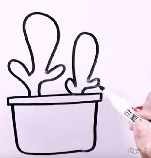 怎么画仙人掌的简笔画 仙人掌盆栽的简笔画图解步骤