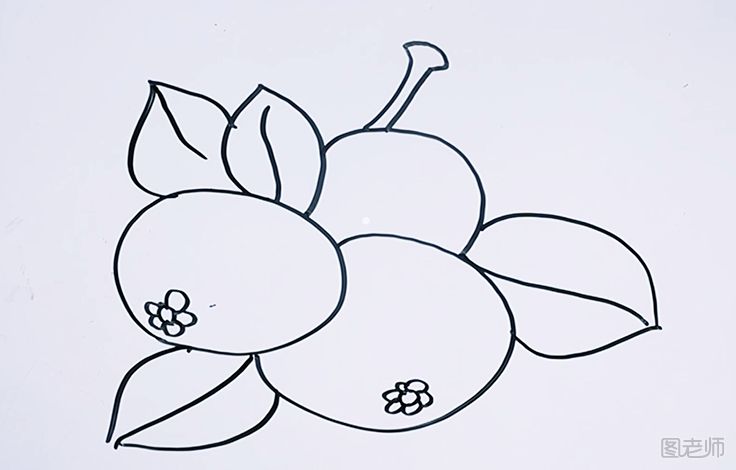 柿子简笔画