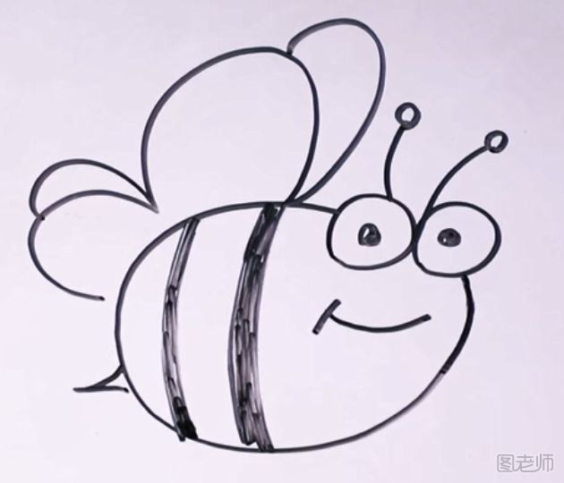 胖胖的蜜蜂怎么画简单又好看 1分钟蜜蜂简笔画教程