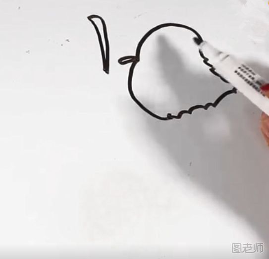 一分钟画提子视频推荐 简单的提子简笔画教学